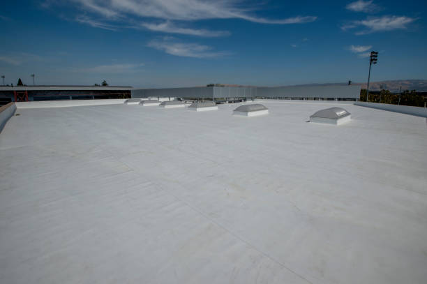 Best Solar Panel Roofing Installation  in Steger, IL