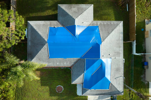 Best Roof Insulation Installation  in Steger, IL