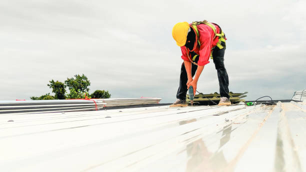 Best Metal Roofing Installation  in Steger, IL