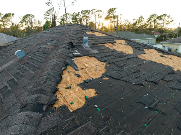 Best Asphalt Shingle Roofing  in Steger, IL